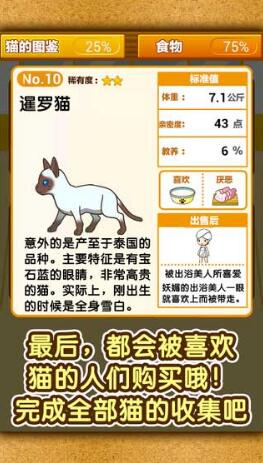 貓咖啡店4