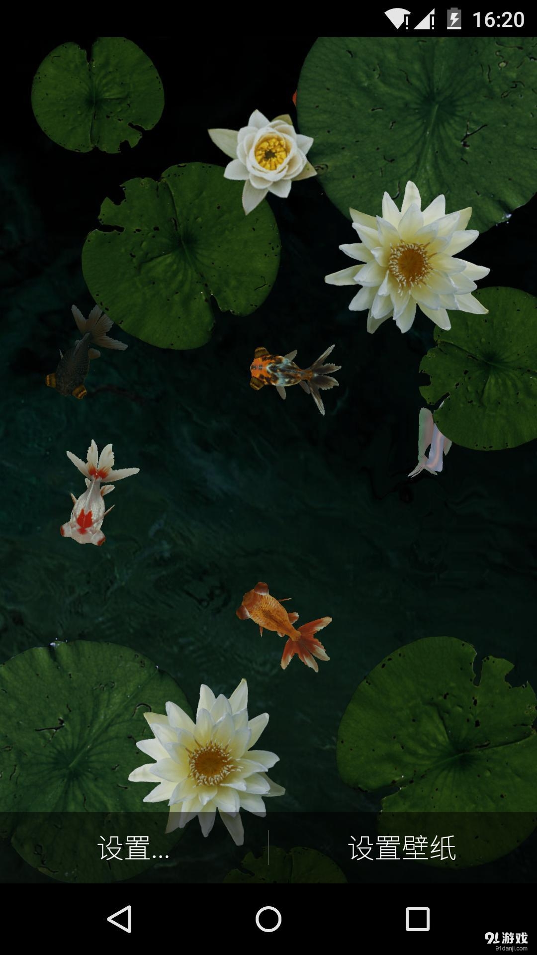 3D池塘里的金魚夢象動態(tài)壁紙2