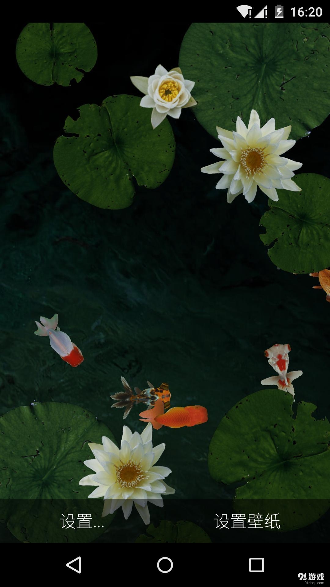 3D池塘里的金魚夢象動態(tài)壁紙3