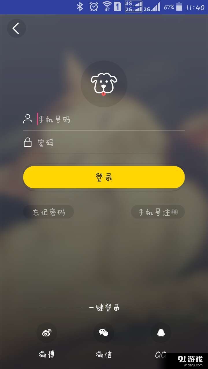 旺角寵物1