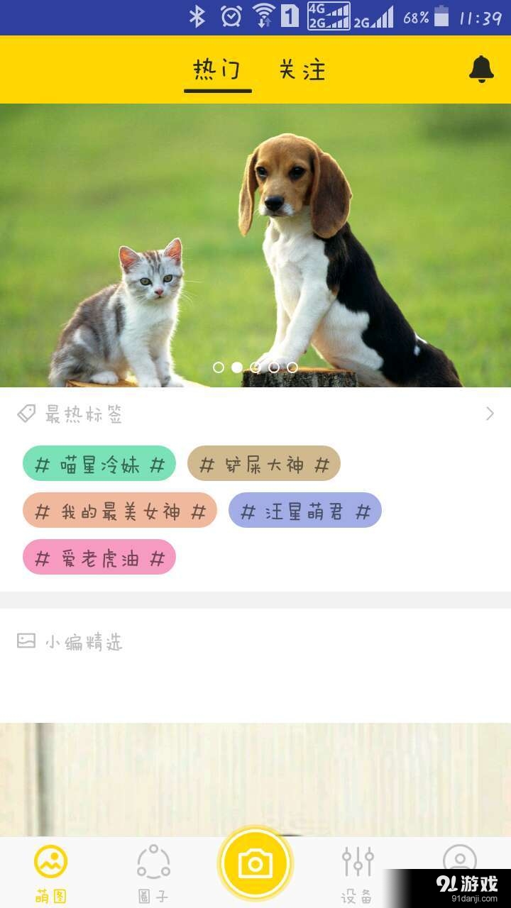 旺角寵物2