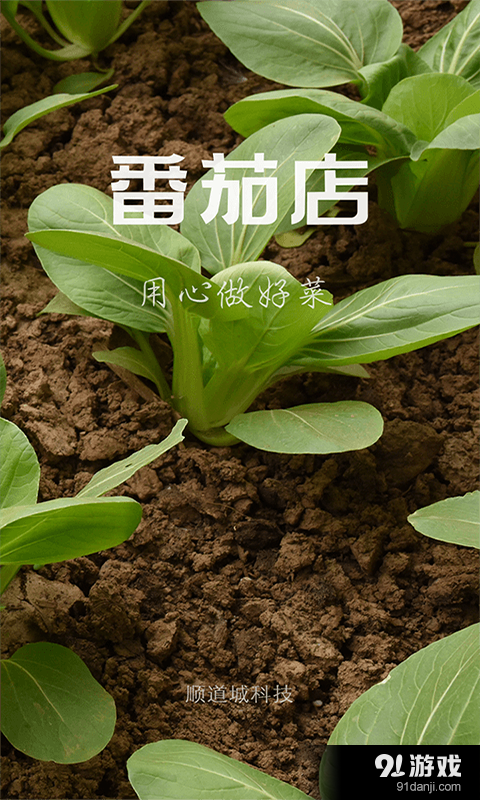 番茄店1