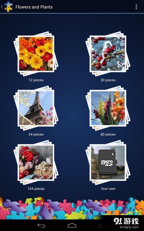 Flowers and Plants11