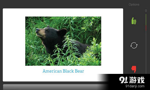 STUDYBLUE Flashcards1
