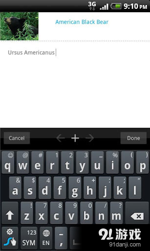STUDYBLUE Flashcards5