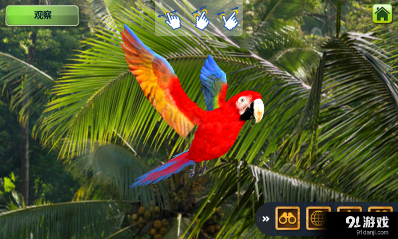 MY BIRD4