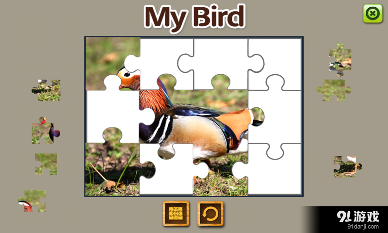 MY BIRD3
