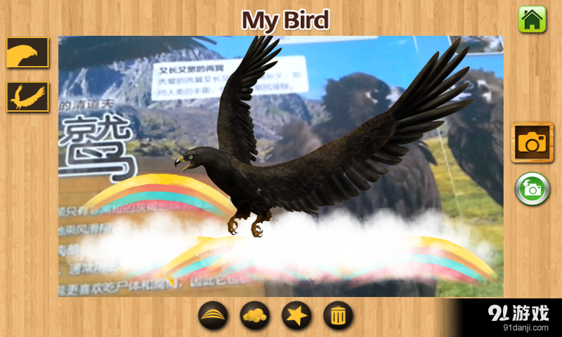 MY BIRD5