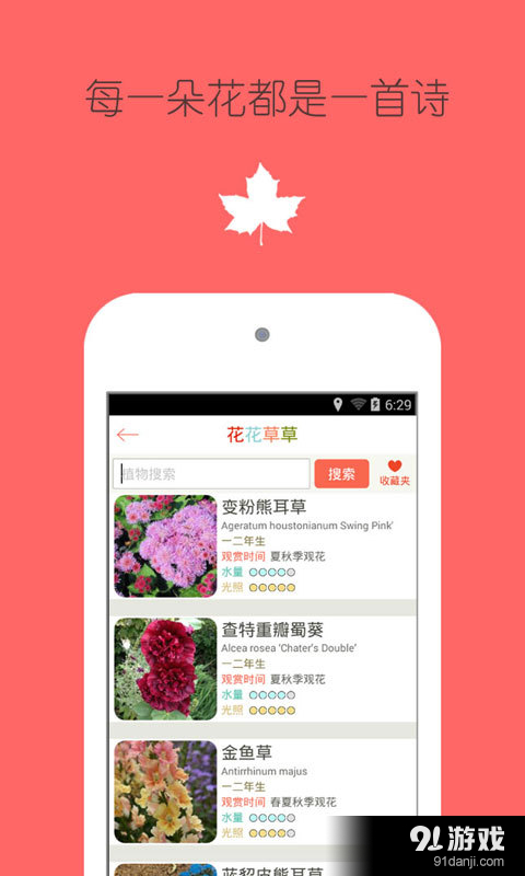 花之谷2