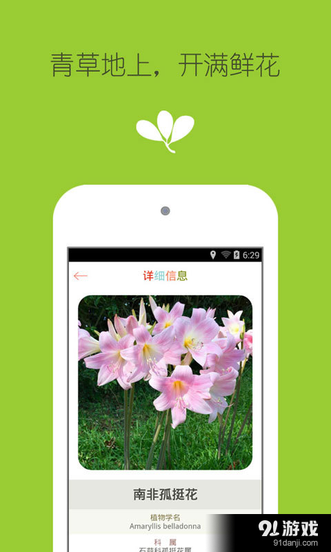 花之谷4