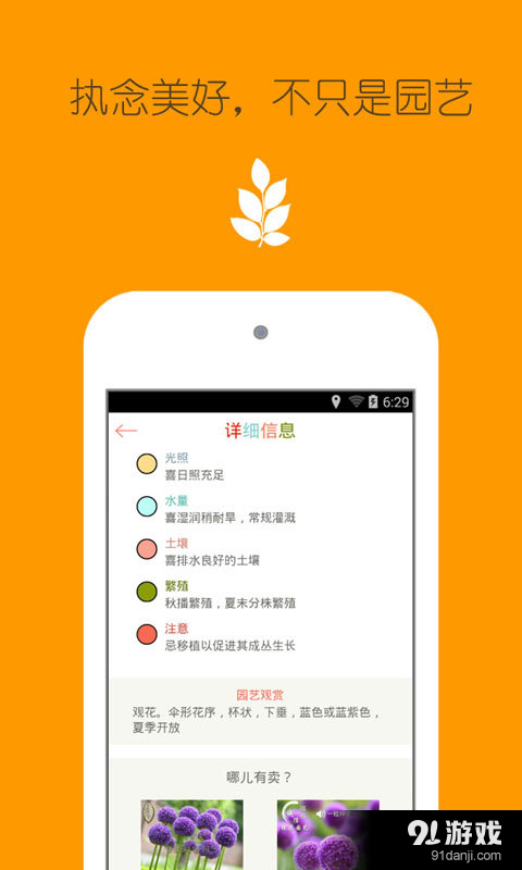 花之谷3