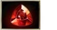《DOTA2》誅仙訣隱藏任務(wù)全流程介紹
