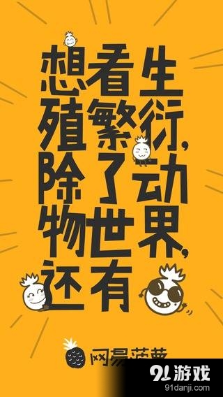 網(wǎng)易菠蘿1