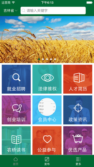 農橋網1