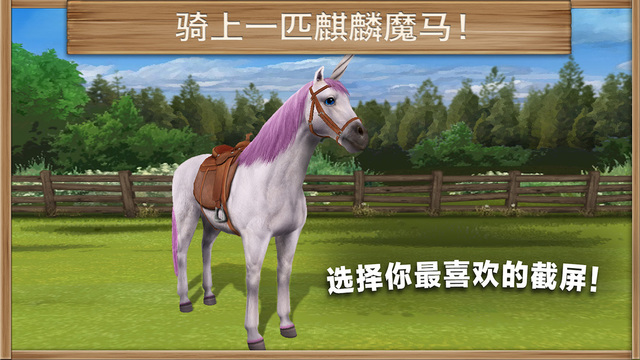 小馬駒1