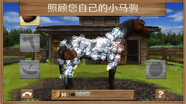 小馬駒2