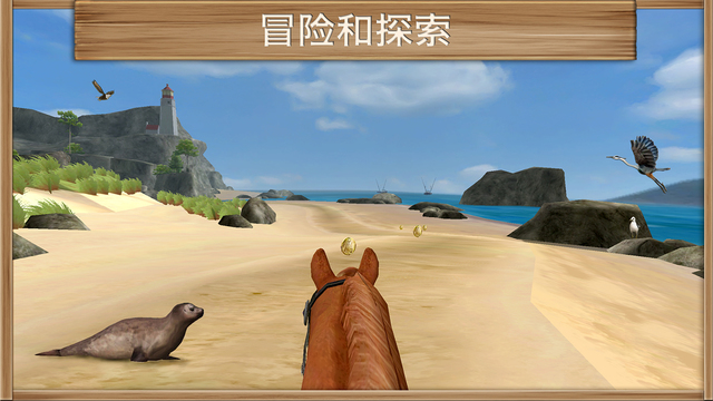 小馬駒3