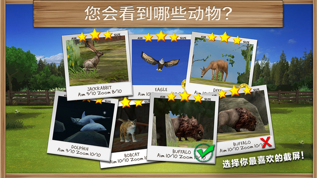 小馬駒4