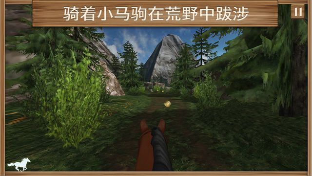 小馬駒5