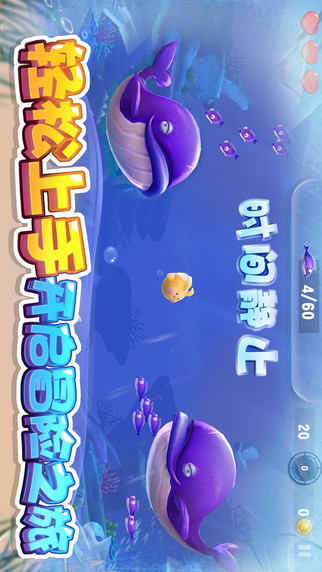 大魚來了5
