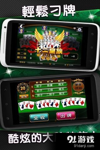 王牌13支 13Poker by game...1