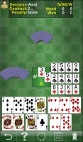 Bridge Lite1