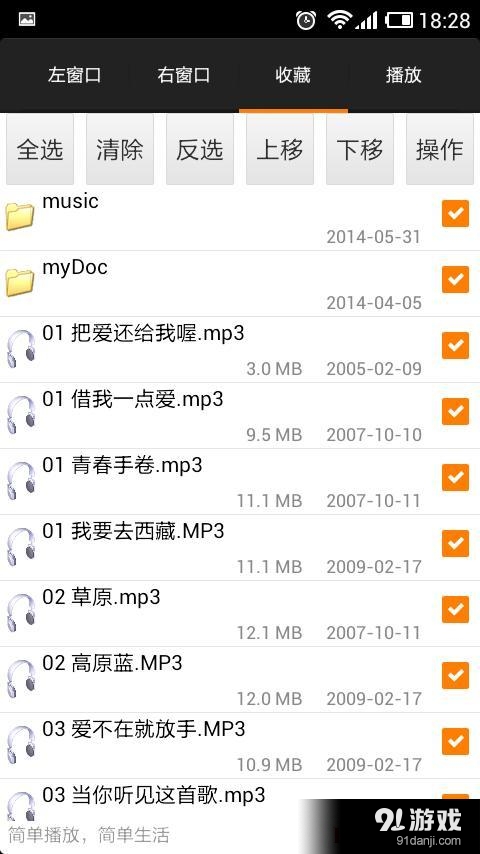 DirPlayer1