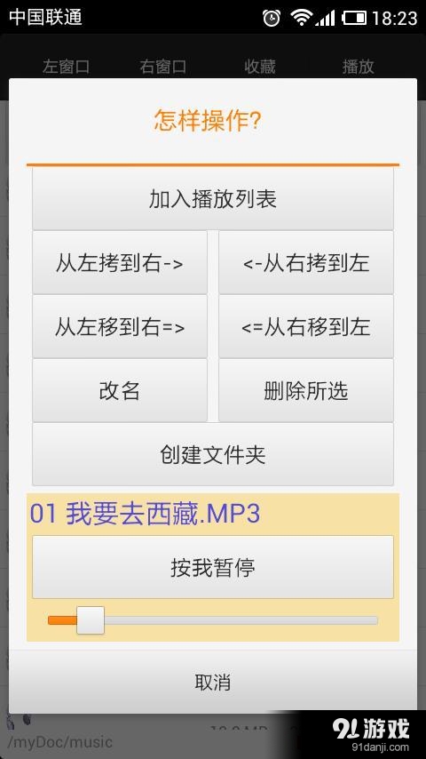 DirPlayer3