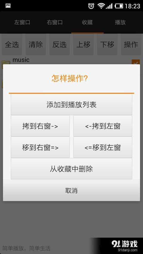 DirPlayer5