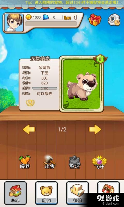 寵物小鎮(zhèn)1