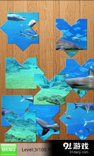 Yo Jigsaw Puzzle: Sharks3