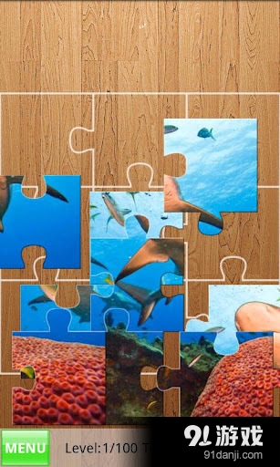 Yo Jigsaw Puzzle: Sharks1