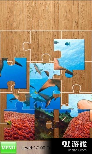 Yo Jigsaw Puzzle: Sharks4