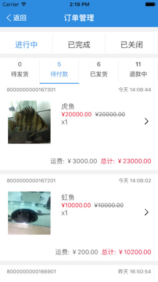 龍巓觀賞魚4