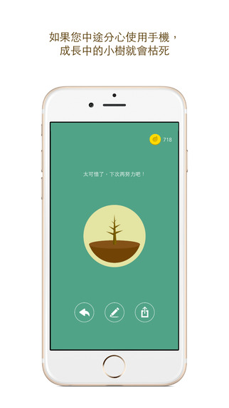 Forest 3