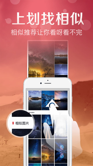 鮮柚主題5