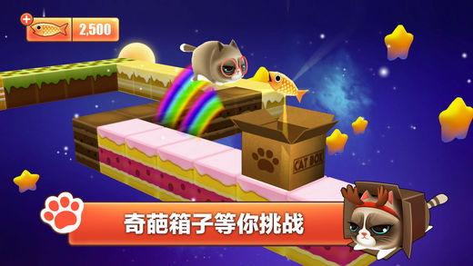 貓小盒3