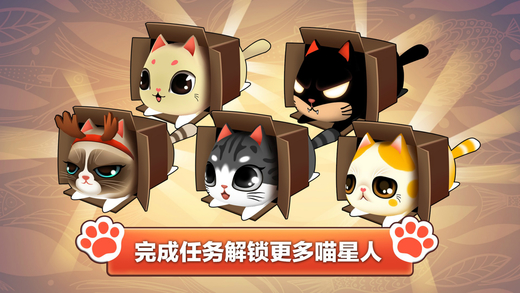 貓小盒2