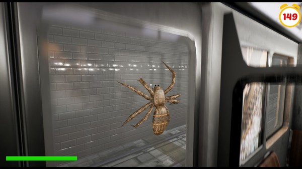 Slap The Fly3
