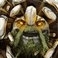 《DOTA2》 山嶺巨人tiny出裝加點(diǎn)攻略