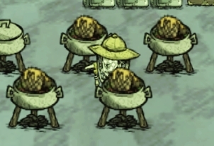 《饑荒》蜜蜂流玩法圖文攻略