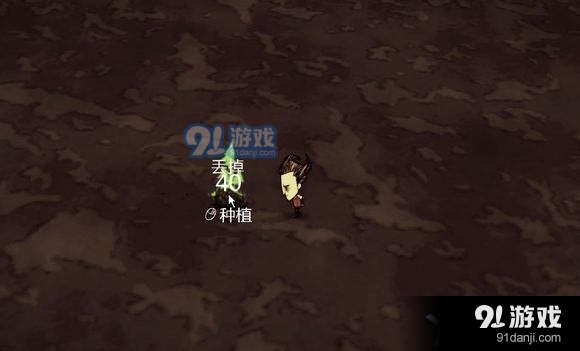 《饑荒》用廉價的樹種子終結(jié)萬惡的觸手君