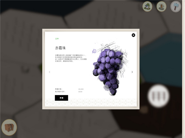 葡萄酒莊經(jīng)營2