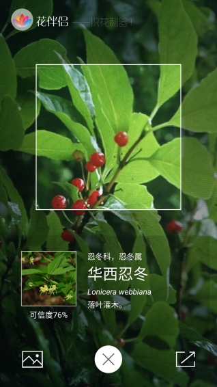花伴侶4