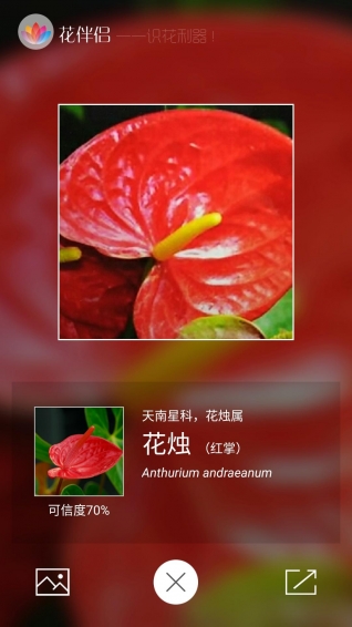 花伴侶3