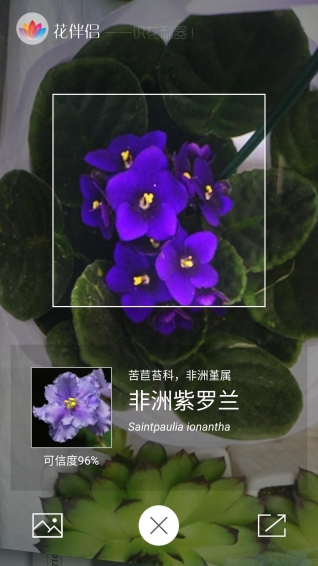 花伴侶5