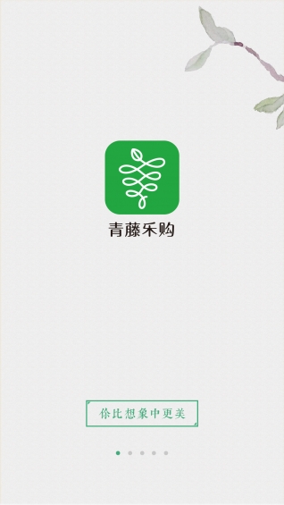 青藤樂購(gòu)1