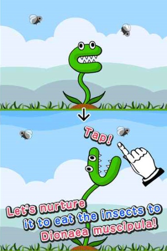 捕蠅草2