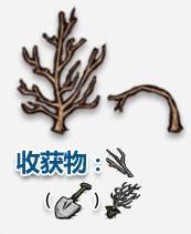 饑荒可采集物一覽 饑荒可采集物種植方法詳解