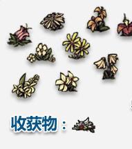饑荒可采集物一覽 饑荒可采集物種植方法詳解